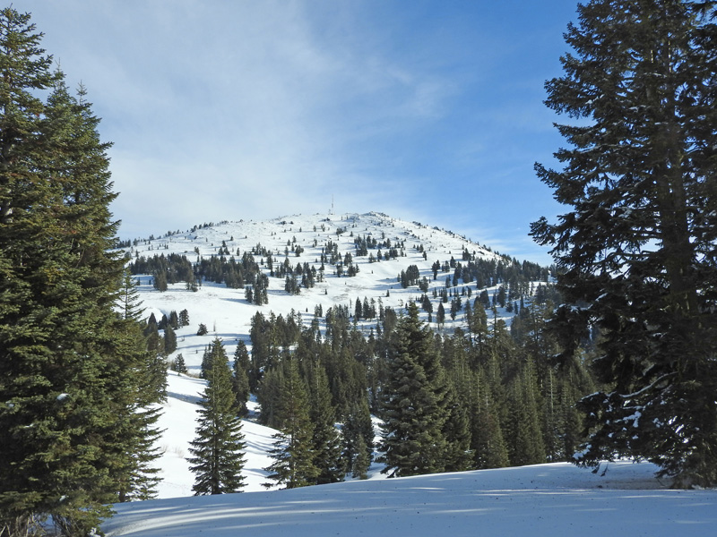 n_X2019-01-14 1041 The back side of our Mt. Ashland.jpg